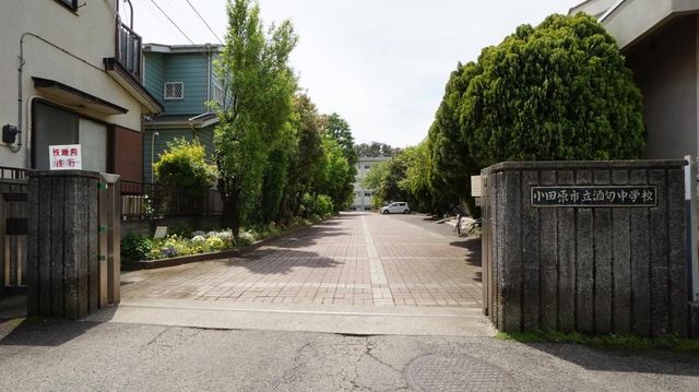 ӊ cswZ k19B 1520m