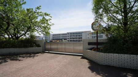 ӊ csxmwZ k12B 950m