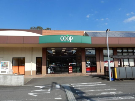 ӊ [R[v~AN`[iߊX k43B 3380m