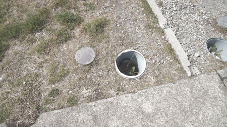 ���̑� ���n�ʐ^