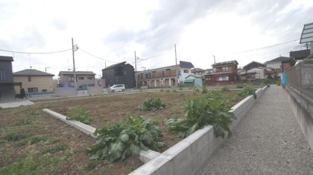 ���n�y�n�ʐ^ �y�n�ʐ^