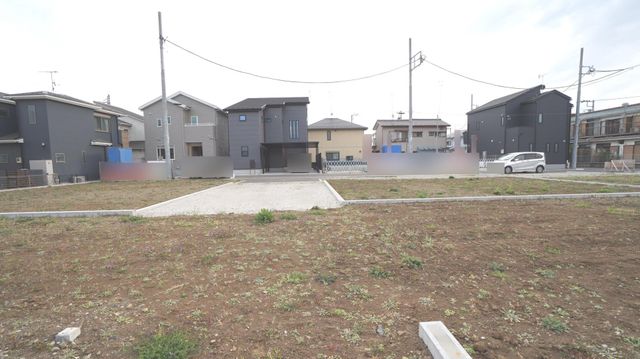 ���̑� ���L�n