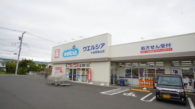 ���ӊ� �E�G���V�A���c�����R�X �k��8���B 610m