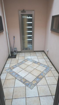 ���̑� ����