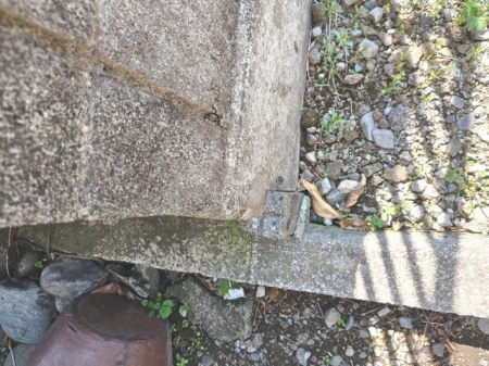 ���ӊ� ���̑����n