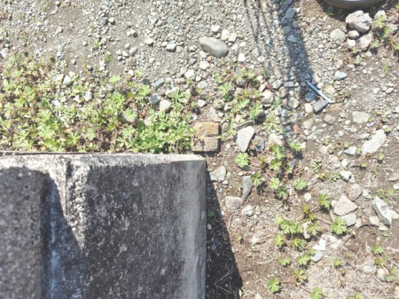 ���ӊ� ���̑����n