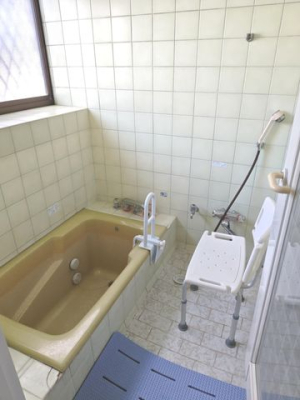 ���n�O�ώʐ^ �o�X