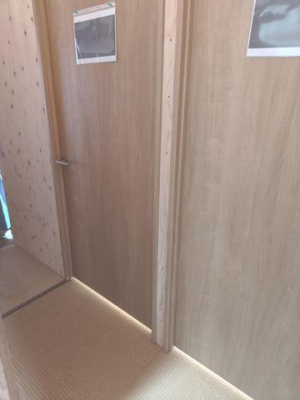 ���̑� ����