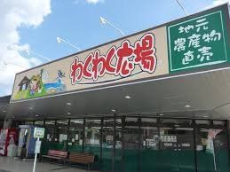 ���ӊ� �킭�킭�L���{�X �k��28���B 2230m